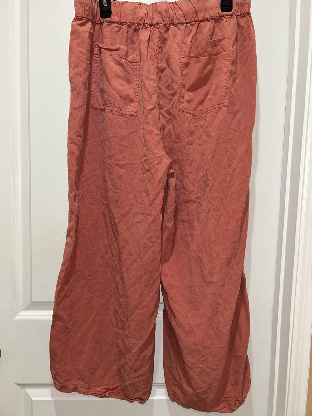 Thread & Supply Wide-Leg Drawstring Pants in Rust - Picture 4 of 4